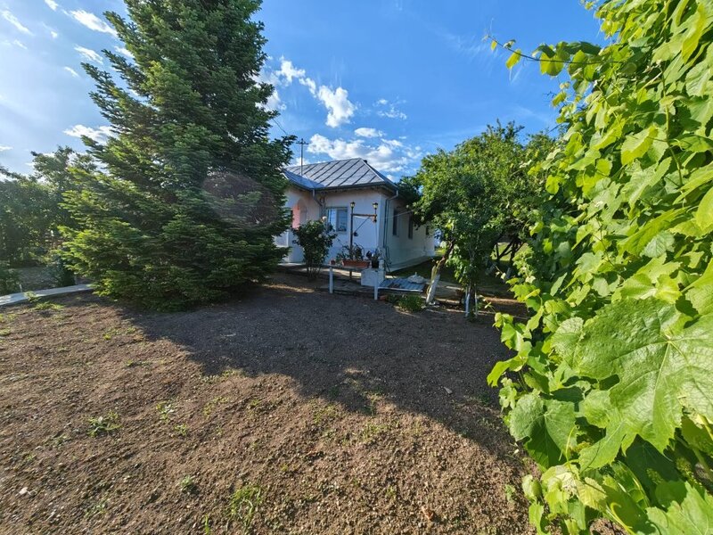 Giurgiu vanzare casa individuala